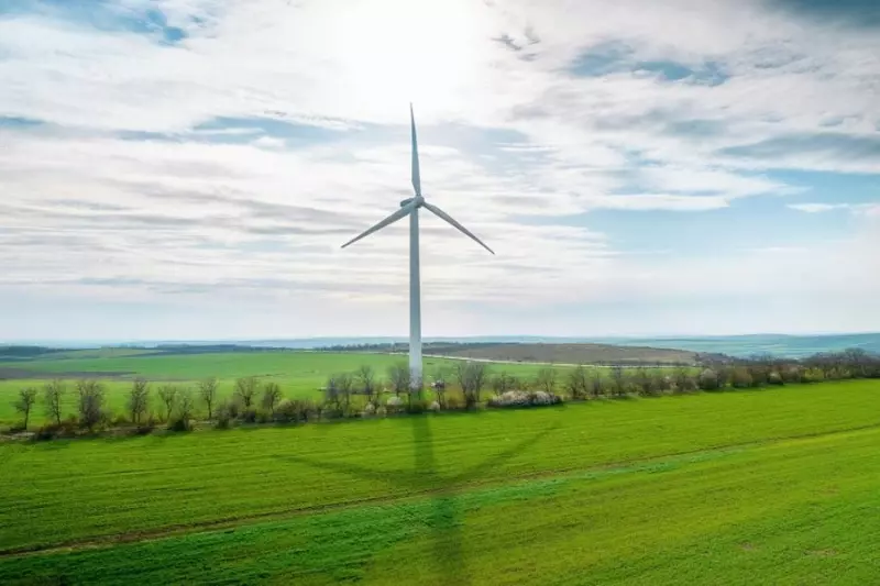 Ponad 30% energii z OZE. Polska przyspiesza transformację energetyczną